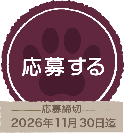 猫俳句大賞に応募する